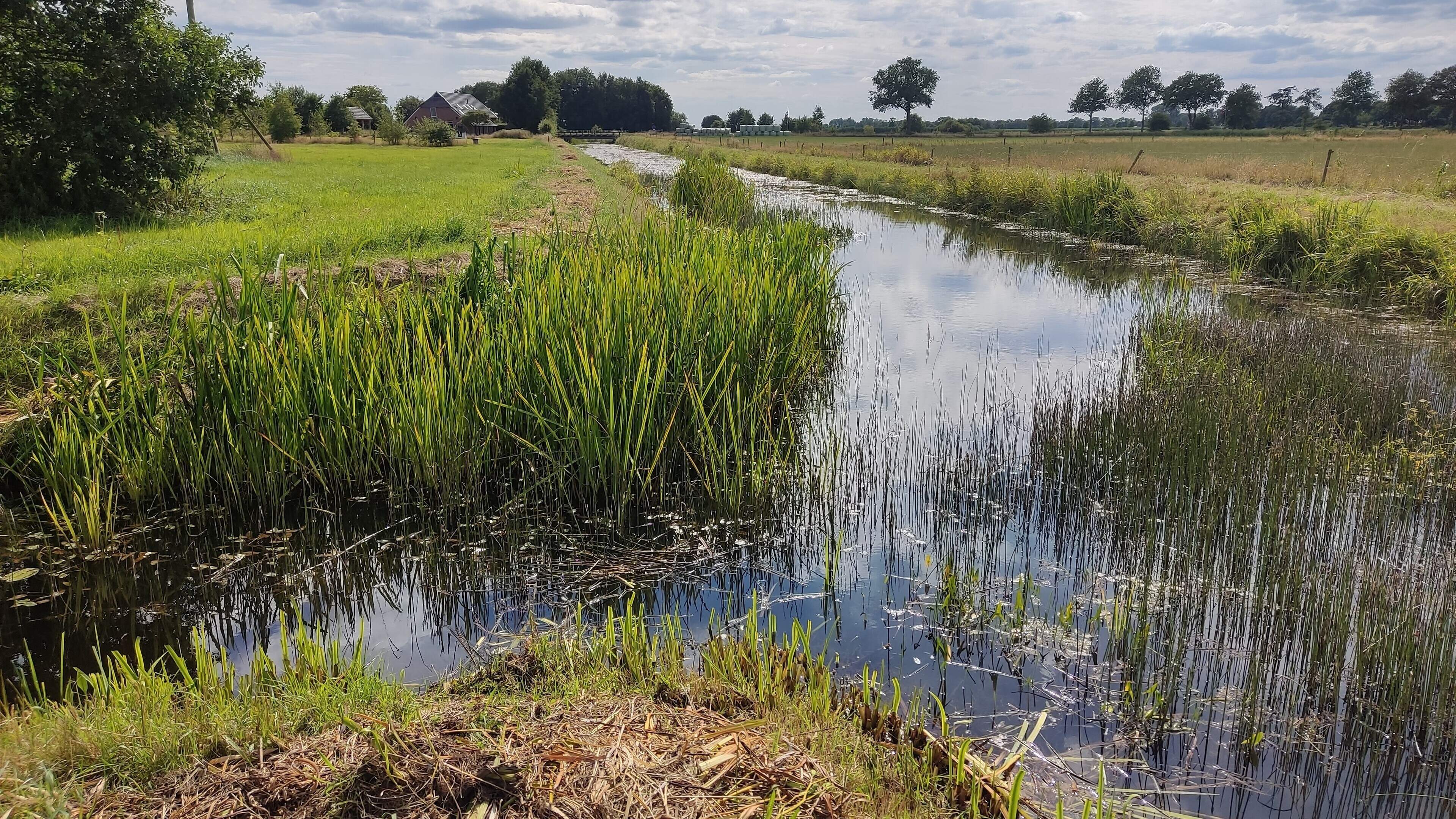 Waterbergingen lang A28 moeten gebied tussen Hoogeveen en Pesse beschermen tegen wateroverlast